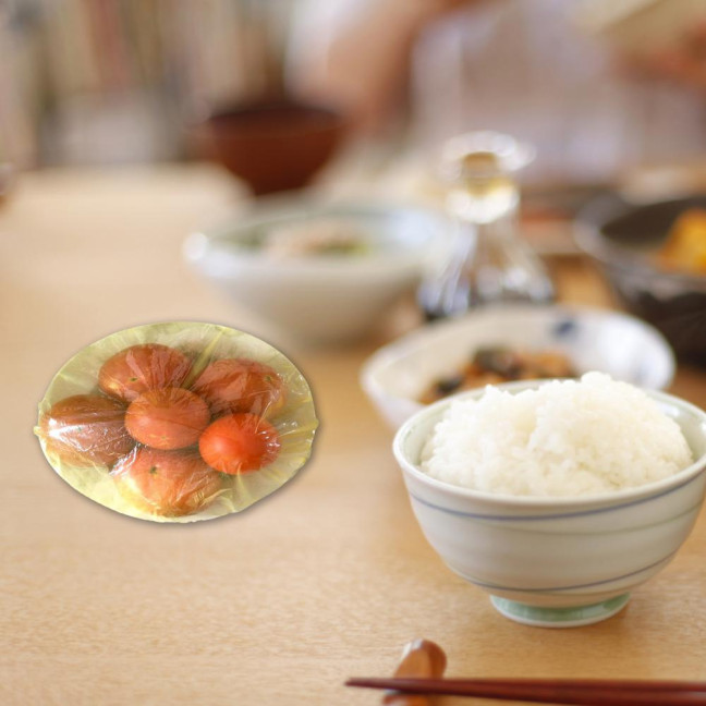 60Pcs Elastic Food Covers Food Grade Waterproof PET Elastic Food Storage Bags Stretch Wrap Bowl Covers Home Supplies