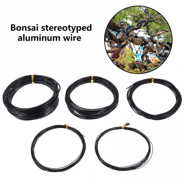 1 Roll 5m Bonsai Wire Bendable Reusable Rustproof Flexible Convenient Storage Plant Shape 6 Sizes Bonsai Branch Training Black Wire for Balcony