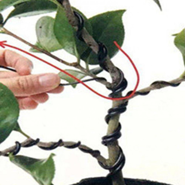 1 Roll 5m Bonsai Wire Bendable Reusable Rustproof Flexible Convenient Storage Plant Shape 6 Sizes Bonsai Branch Training Black Wire for Balcony