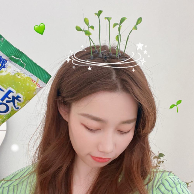 100 Pcs Bean Sprout Hair Clips Plant Hairpins Anti-slip Fake Leaf Funny Shape Long Green Sprout Decor Adult Children Hair Decoration Hair Clips 