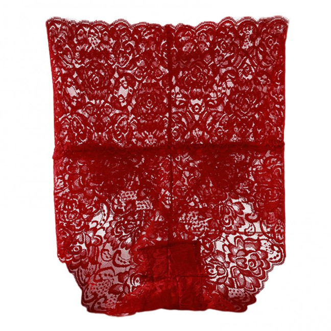 Women Panties High Waist Hollow Out Lace Good Breathability Floral Embroidery Solid Color Briefs Slim Fit Thin Quick Dry Casual Sport Lady Underpants