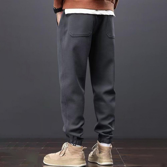 Winter Fall Men Sport Pants Loose Drawstring Elastic Waist Thick Plush Pockets Ankle-banded Solid Color Exercise Trousers Daily Wear Sweatpants