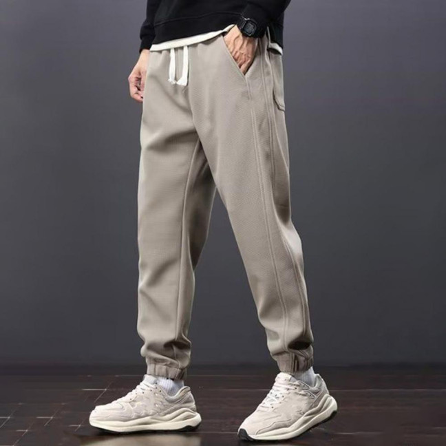 Winter Fall Men Sport Pants Loose Drawstring Elastic Waist Thick Plush Pockets Ankle-banded Solid Color Exercise Trousers Daily Wear Sweatpants