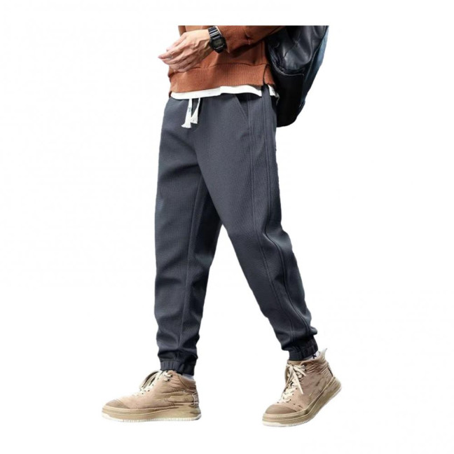 Winter Fall Men Sport Pants Loose Drawstring Elastic Waist Thick Plush Pockets Ankle-banded Solid Color Exercise Trousers Daily Wear Sweatpants