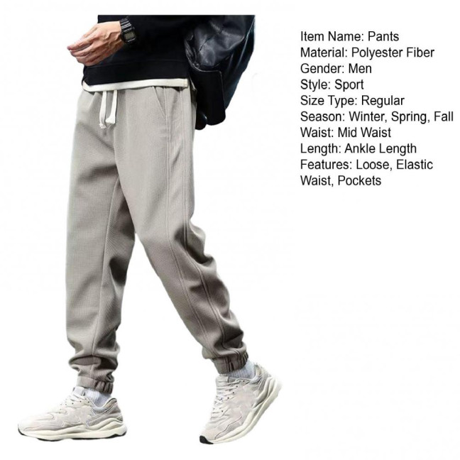 Winter Fall Men Sport Pants Loose Drawstring Elastic Waist Thick Plush Pockets Ankle-banded Solid Color Exercise Trousers Daily Wear Sweatpants