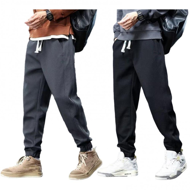 Winter Fall Men Sport Pants Loose Drawstring Elastic Waist Thick Plush Pockets Ankle-banded Solid Color Exercise Trousers Daily Wear Sweatpants