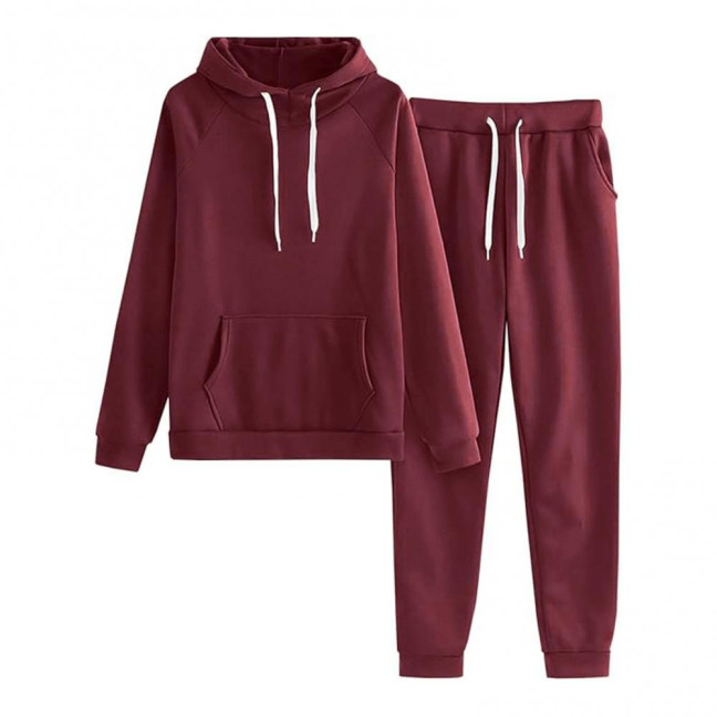 2 Pcs/Set Women Hoodie Pants Suit Solid Color Plush Long Sleeves Thick Top Elastic Waist Ankle-banded Trousers Sport Fitness Outfit Fall Winter Tracksuit