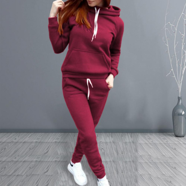 2 Pcs/Set Women Hoodie Pants Suit Solid Color Plush Long Sleeves Thick Top Elastic Waist Ankle-banded Trousers Sport Fitness Outfit Fall Winter Tracksuit