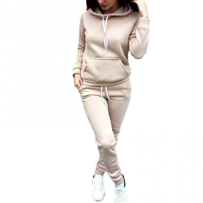 2 Pcs/Set Women Hoodie Pants Suit Solid Color Plush Long Sleeves Thick Top Elastic Waist Ankle-banded Trousers Sport Fitness Outfit Fall Winter Tracksuit