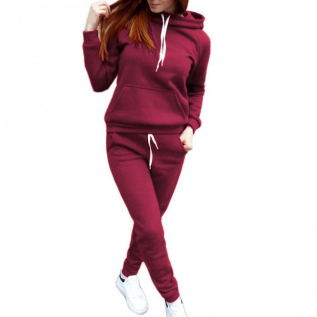 2 Pcs/Set Women Hoodie Pants Suit Solid Color Plush Long Sleeves Thick Top Elastic Waist Ankle-banded Trousers Sport Fitness Outfit Fall Winter Tracksuit