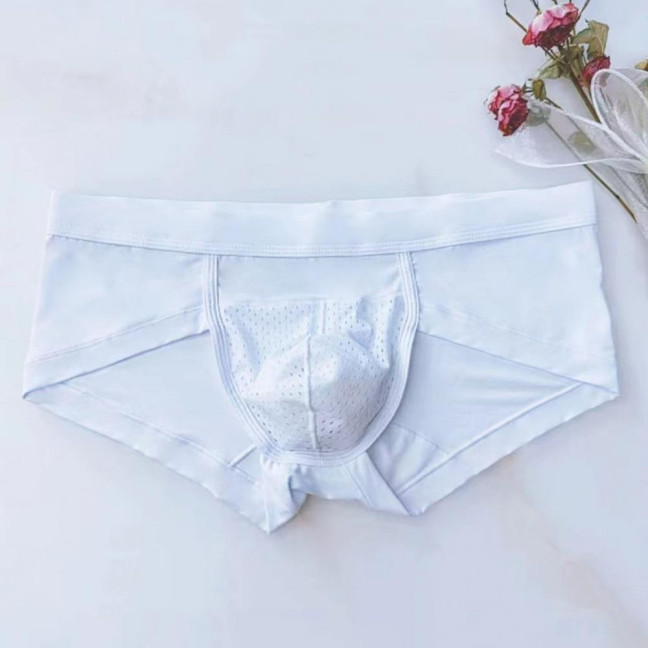 Men Briefs Modal Fabric High Elasticity Breathable Underwear U-Convex Mid-Waist Design Panties Daily Wear