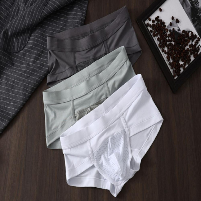 Men Briefs Modal Fabric High Elasticity Breathable Underwear U-Convex Mid-Waist Design Panties Daily Wear