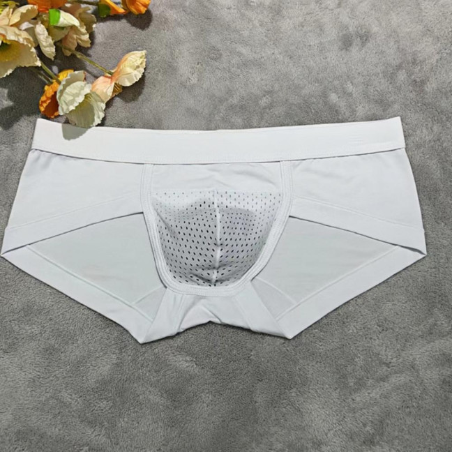 Men Briefs Modal Fabric High Elasticity Breathable Underwear U-Convex Mid-Waist Design Panties Daily Wear