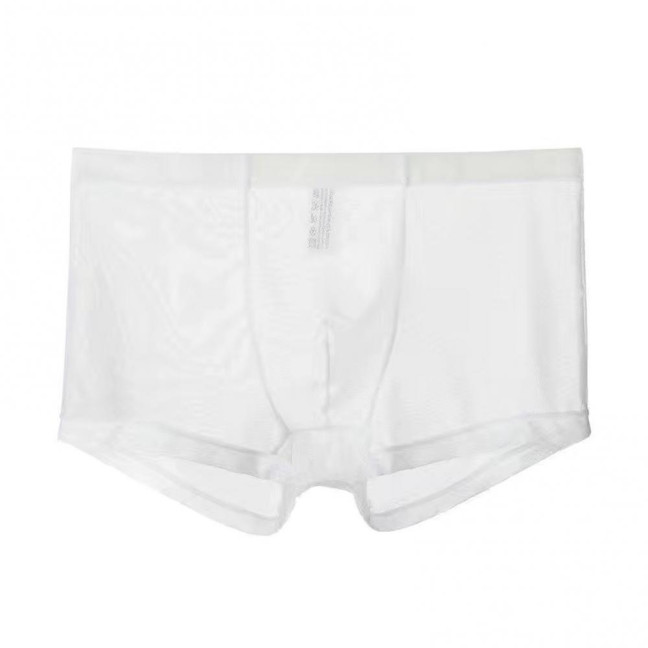 Men Boxer Underwear Summer Ultra Thin Perspective Mesh Yarn Shorts Briefs Mid-rise U-Convex Sexy Panties