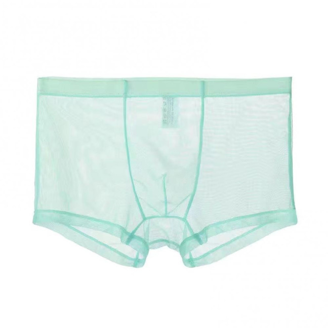 Men Boxer Underwear Summer Ultra Thin Perspective Mesh Yarn Shorts Briefs Mid-rise U-Convex Sexy Panties