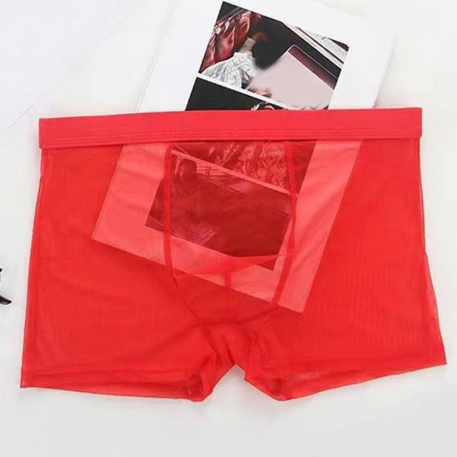 Men Boxer Underwear Summer Ultra Thin Perspective Mesh Yarn Shorts Briefs Mid-rise U-Convex Sexy Panties