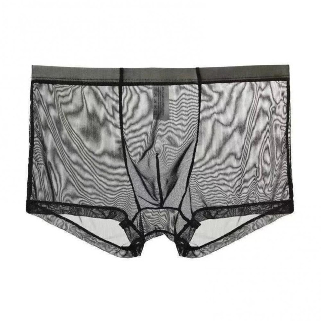 Men Boxer Underwear Summer Ultra Thin Perspective Mesh Yarn Shorts Briefs Mid-rise U-Convex Sexy Panties