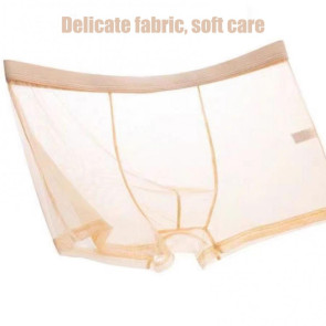 Men Boxer Underwear Summer Ultra Thin Perspective Mesh Yarn Shorts Briefs Mid-rise U-Convex Sexy Panties