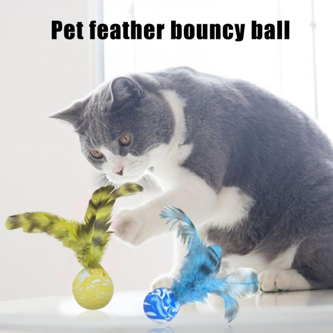 5 Pcs Cat Feather Ball Toy Interactive Mini Bouncy Balls with Feather Cat Exercise Ball Teeth Cleaning Toy for Indoor Cats 5 Pcs Cat Feather Ball Toy Interactive Mini Bouncy Balls with Feather Cat Exercise Ball Teeth Cleaning Toy for Indoor Cats