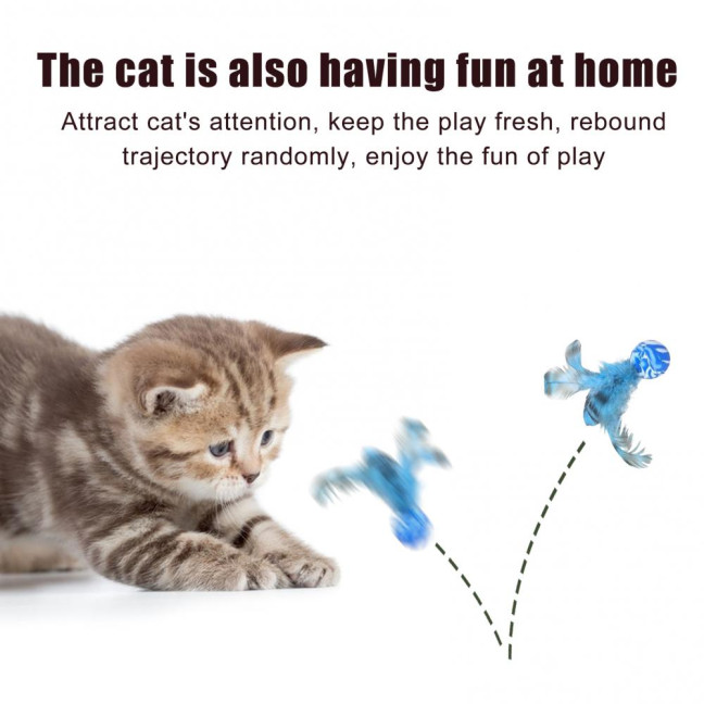 5 Pcs Cat Feather Ball Toy Interactive Mini Bouncy Balls with Feather Cat Exercise Ball Teeth Cleaning Toy for Indoor Cats 5 Pcs Cat Feather Ball Toy Interactive Mini Bouncy Balls with Feather Cat Exercise Ball Teeth Cleaning Toy for Indoor Cats