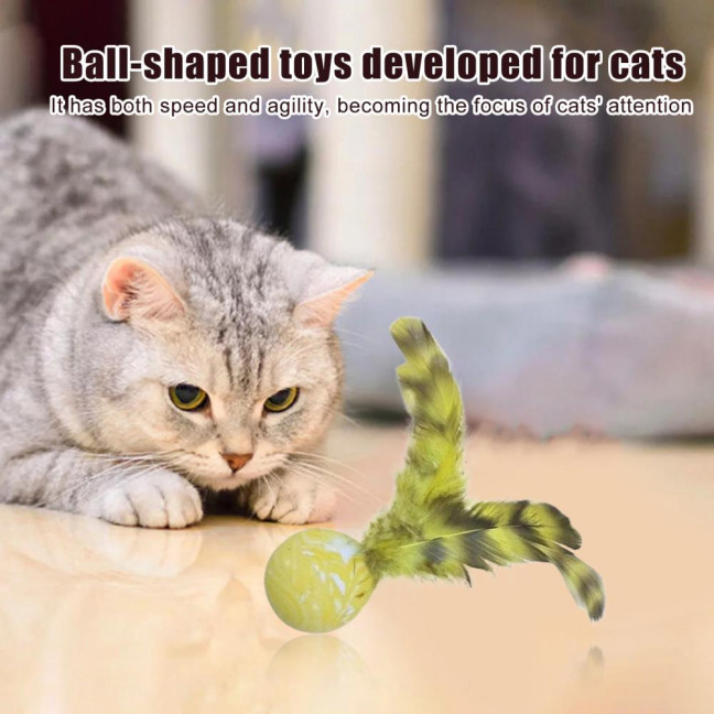 5 Pcs Cat Feather Ball Toy Interactive Mini Bouncy Balls with Feather Cat Exercise Ball Teeth Cleaning Toy for Indoor Cats 5 Pcs Cat Feather Ball Toy Interactive Mini Bouncy Balls with Feather Cat Exercise Ball Teeth Cleaning Toy for Indoor Cats