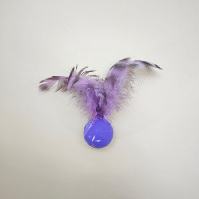 5 Pcs Cat Feather Ball Toy Interactive Mini Bouncy Balls with Feather Cat Exercise Ball Teeth Cleaning Toy for Indoor Cats 5 Pcs Cat Feather Ball Toy Interactive Mini Bouncy Balls with Feather Cat Exercise Ball Teeth Cleaning Toy for Indoor Cats