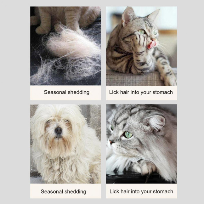 2 Pcs Cat Steam Brush Pet Spray Hair Removal Comb 3-in-1 Pet Grooming Massage Brush with Rotatable And Foldable Handle for Cats And Dogs