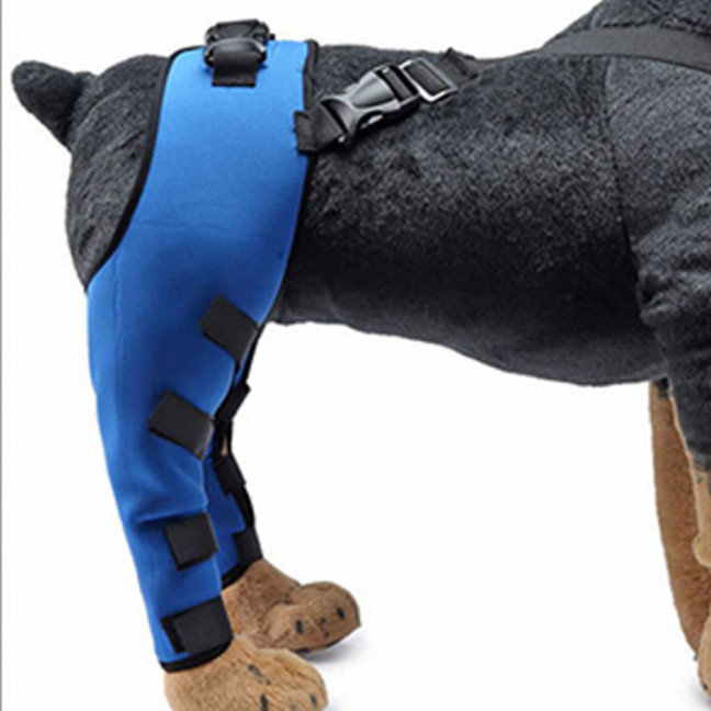 Dog Knee Brace for Torn ACL Hind Leg Adjustable Dual Back Leg Support for Luxating Patella Ligament Injuries Osteoarthritis Dog Knee Brace for Torn ACL Hind Leg Adjustable Dual Back Leg Support for Luxating Patella Ligament Injuries Osteoarthritis