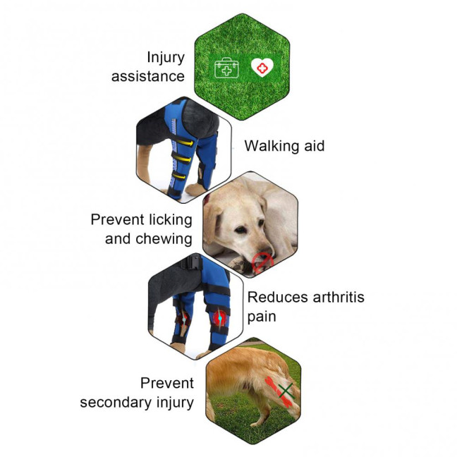 Dog Knee Brace for Torn ACL Hind Leg Adjustable Dual Back Leg Support for Luxating Patella Ligament Injuries Osteoarthritis Dog Knee Brace for Torn ACL Hind Leg Adjustable Dual Back Leg Support for Luxating Patella Ligament Injuries Osteoarthritis