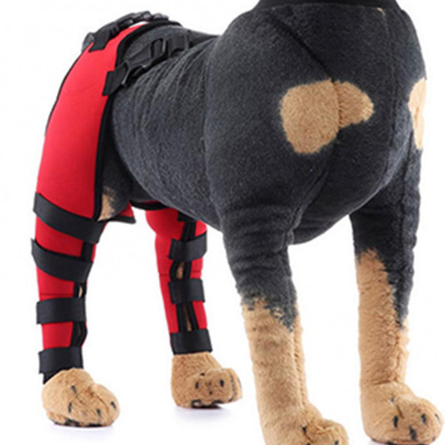 Dog Knee Brace for Torn ACL Hind Leg Adjustable Dual Back Leg Support for Luxating Patella Ligament Injuries Osteoarthritis Dog Knee Brace for Torn ACL Hind Leg Adjustable Dual Back Leg Support for Luxating Patella Ligament Injuries Osteoarthritis