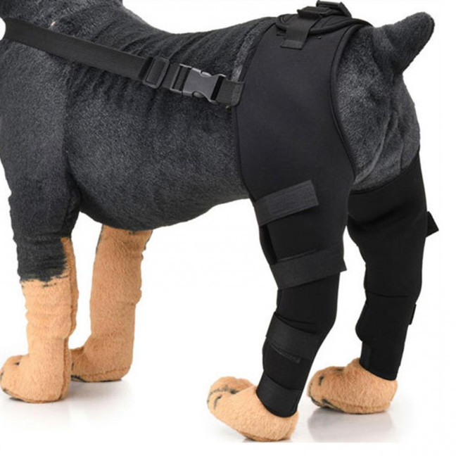 Dog Knee Brace for Torn ACL Hind Leg Adjustable Dual Back Leg Support for Luxating Patella Ligament Injuries Osteoarthritis Dog Knee Brace for Torn ACL Hind Leg Adjustable Dual Back Leg Support for Luxating Patella Ligament Injuries Osteoarthritis