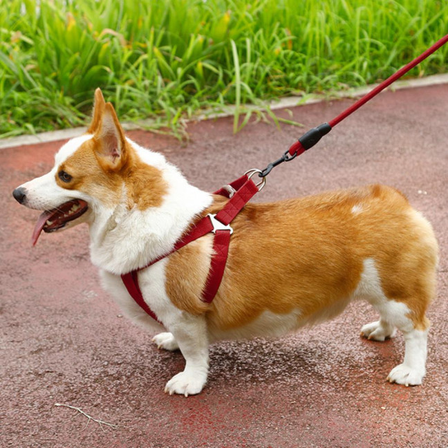 Dog Harness with Leash Dog Training Vest Lead Rope with Soft Padded Handle Pet Traction Supplies for Small And Medium Dogs Cats