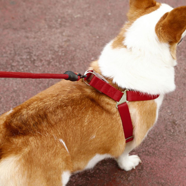 Dog Harness with Leash Dog Training Vest Lead Rope with Soft Padded Handle Pet Traction Supplies for Small And Medium Dogs Cats