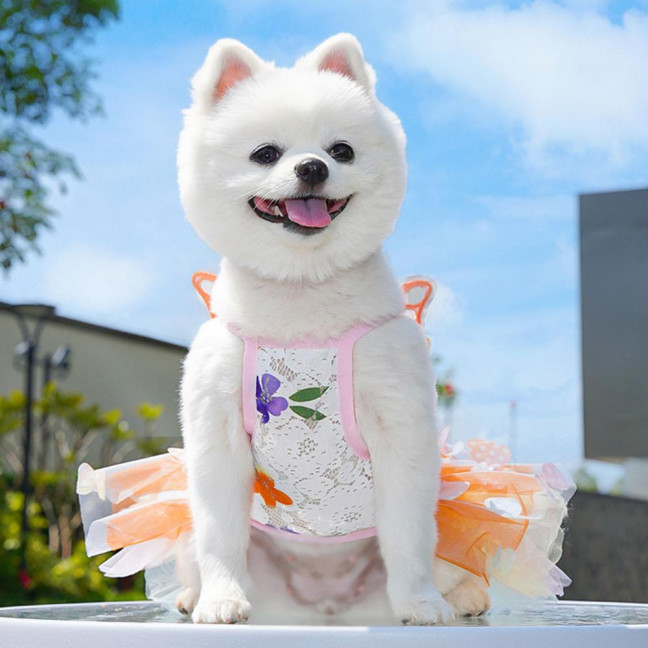 Dog Dress Butterflies Princess Style Colorful Wings Fluffy Tutu Dress Vibrant Color Lace Fabric Pet Dog Dress