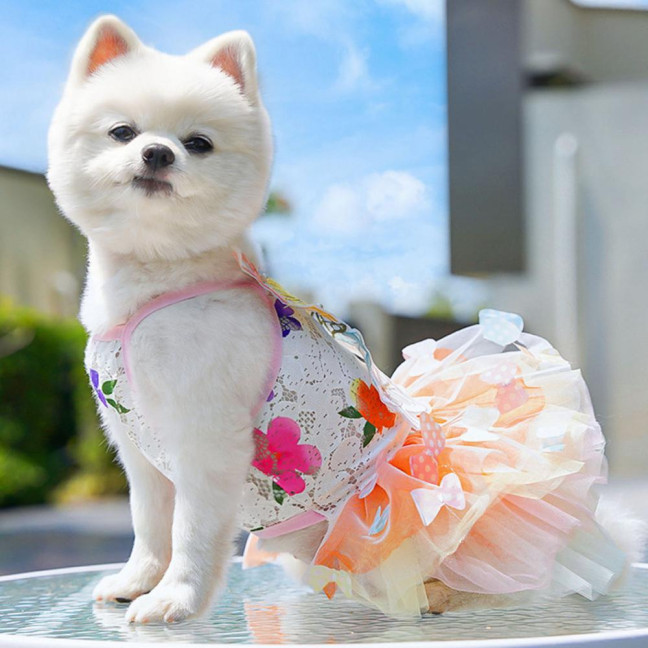 Dog Dress Butterflies Princess Style Colorful Wings Fluffy Tutu Dress Vibrant Color Lace Fabric Pet Dog Dress