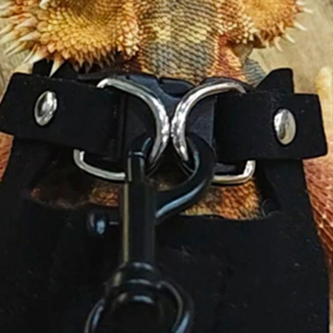 Bearded Dragon Harness And Leash Set Faux Leather Reptile Lizard Harness with Retractable Leash Small Animal Traction Rope Walking Vest Accessories for Amphibians Bearded Dragon Harness And Leash Set Faux Leather Reptile Lizard Harness with Retractable Leash Small Animal Traction Rope Walking Vest Accessories for Amphibians