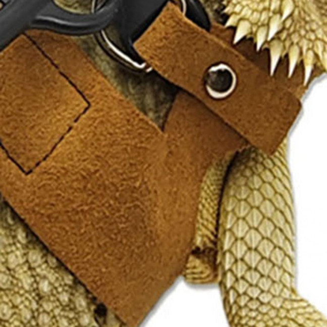 Bearded Dragon Harness And Leash Set Faux Leather Reptile Lizard Harness with Retractable Leash Small Animal Traction Rope Walking Vest Accessories for Amphibians Bearded Dragon Harness And Leash Set Faux Leather Reptile Lizard Harness with Retractable Leash Small Animal Traction Rope Walking Vest Accessories for Amphibians