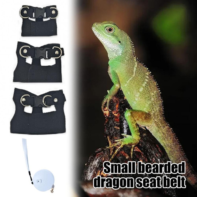Bearded Dragon Harness And Leash Set Faux Leather Reptile Lizard Harness with Retractable Leash Small Animal Traction Rope Walking Vest Accessories for Amphibians Bearded Dragon Harness And Leash Set Faux Leather Reptile Lizard Harness with Retractable Leash Small Animal Traction Rope Walking Vest Accessories for Amphibians
