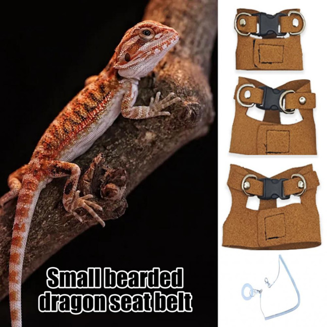 Bearded Dragon Harness And Leash Set Faux Leather Reptile Lizard Harness with Retractable Leash Small Animal Traction Rope Walking Vest Accessories for Amphibians Bearded Dragon Harness And Leash Set Faux Leather Reptile Lizard Harness with Retractable Leash Small Animal Traction Rope Walking Vest Accessories for Amphibians