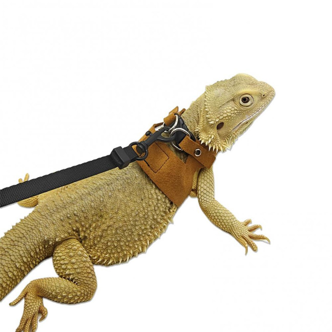 Bearded Dragon Harness And Leash Set Faux Leather Reptile Lizard Harness with Retractable Leash Small Animal Traction Rope Walking Vest Accessories for Amphibians Bearded Dragon Harness And Leash Set Faux Leather Reptile Lizard Harness with Retractable Leash Small Animal Traction Rope Walking Vest Accessories for Amphibians
