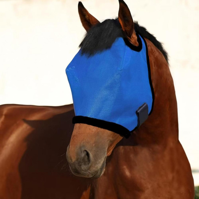 Horse Fly Face Guard Half Face UV Protection Cover from Summer Insect Pest Adjustable Breathable Mesh Coverage for Horse