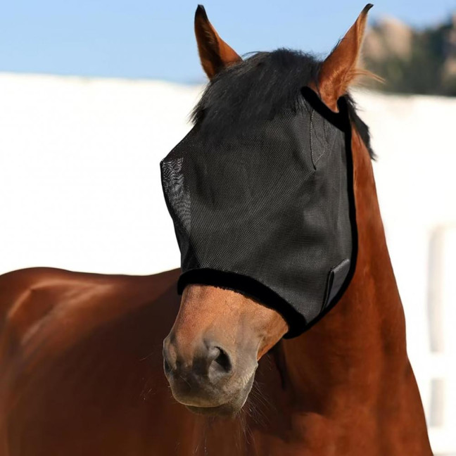Horse Fly Face Guard Half Face UV Protection Cover from Summer Insect Pest Adjustable Breathable Mesh Coverage for Horse