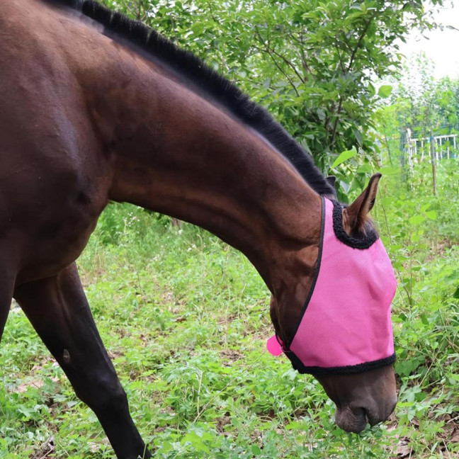 Horse Fly Face Guard Half Face UV Protection Cover from Summer Insect Pest Adjustable Breathable Mesh Coverage for Horse