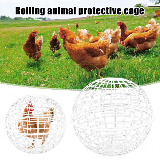 Ball Shaped Movable Chicken House Rollable Poultry Enclosure Round Hutch Plastic Chicken Coop Safety Cage to Prevent Dog Bites for Chicks Rabbits Birds