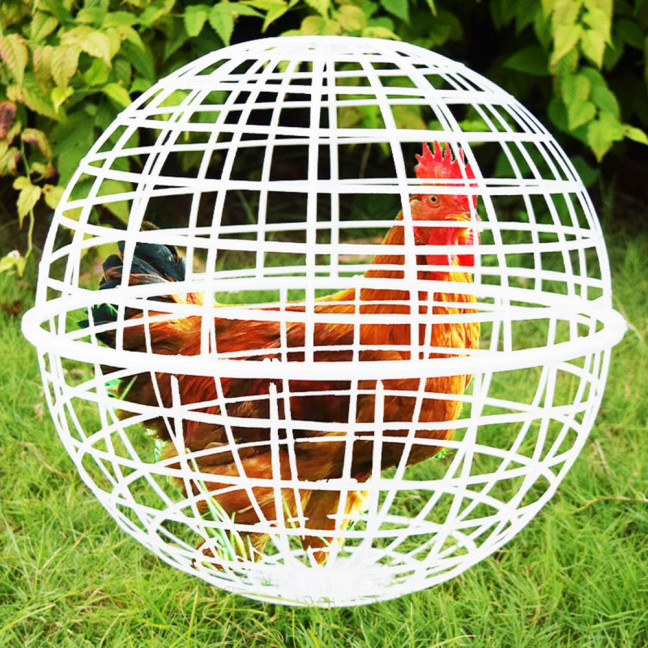 Ball Shaped Movable Chicken House Rollable Poultry Enclosure Round Hutch Plastic Chicken Coop Safety Cage to Prevent Dog Bites for Chicks Rabbits Birds