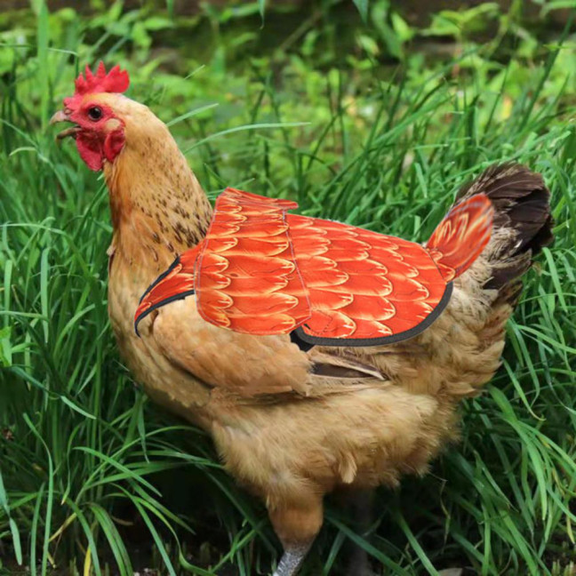 Chicken Saddle for Hens Printed Chicken Aprons with Adjustable Strap Chicken Vest Jacket Clothes for Poultry Back Feather Protection