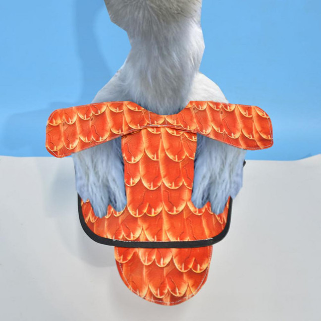 Chicken Saddle for Hens Printed Chicken Aprons with Adjustable Strap Chicken Vest Jacket Clothes for Poultry Back Feather Protection