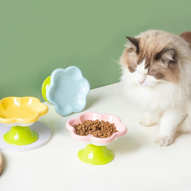 Ceramic Raised Cat Bowls Flower Design Elevated Cat Food Water Bowl Small Cat Feeding Dish for Cats Small Dogs
