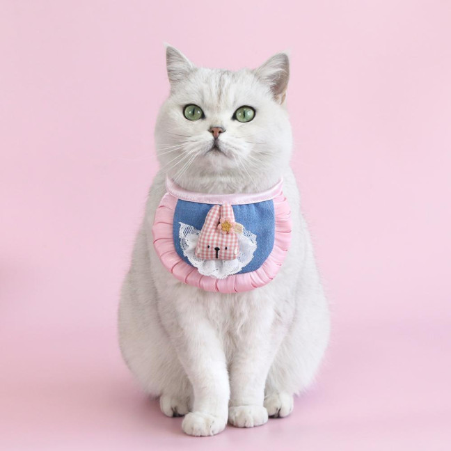 Cartoon Pet Costume Small Dog Beret Hat with Adjustable Straps Denim Pet Bandana Dress-up Accessories for Small Medium Dogs Cats