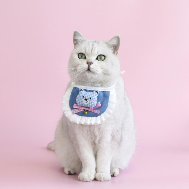 Cartoon Pet Costume Small Dog Beret Hat with Adjustable Straps Denim Pet Bandana Dress-up Accessories for Small Medium Dogs Cats